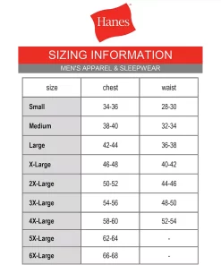 Big & Tall Hanes® Workwear 2-pack X-Temp Fresh IQ Crewneck Pocket Tees -Mens Hanes Clothing Shop 5164238 ALT97